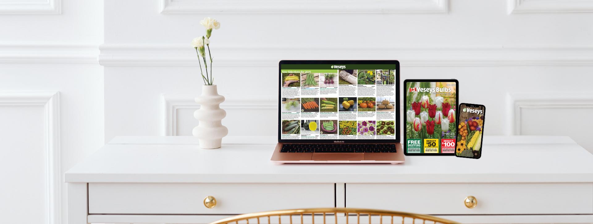 Digital Catalogues